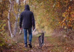 How to Train Your Dog to Walk on a Leash Without Tugging