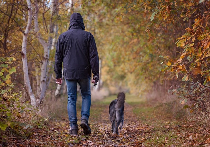 How to Train Your Dog to Walk on a Leash Without Tugging