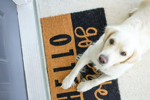 Ideal Pet Products Ruff Weather Pet Door with Telescoping Frame