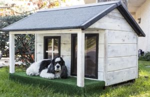 Best Dog Houses for Hot Climates
