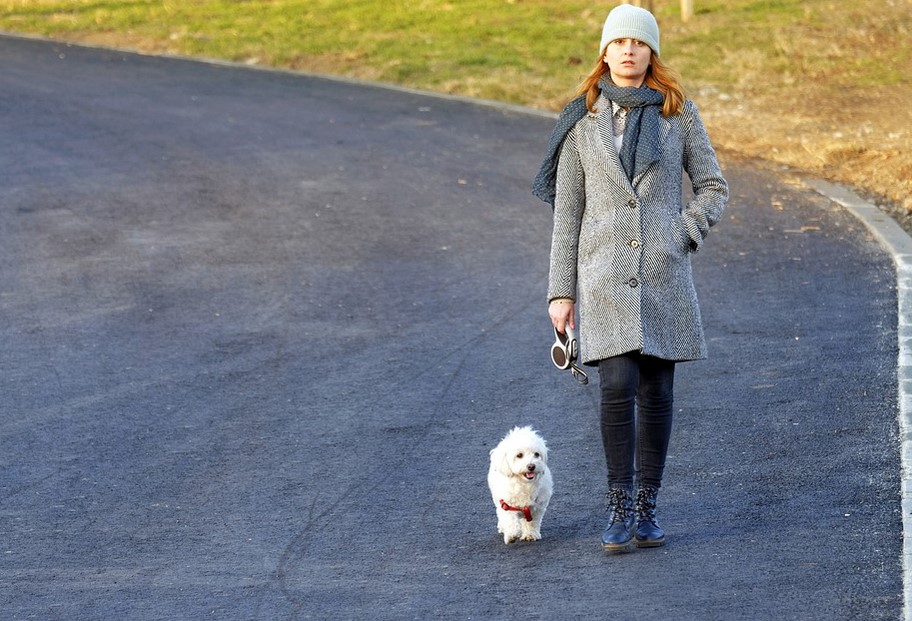 The Best Hands-Free Dog Leash The Best Hands-Free Dog Leash