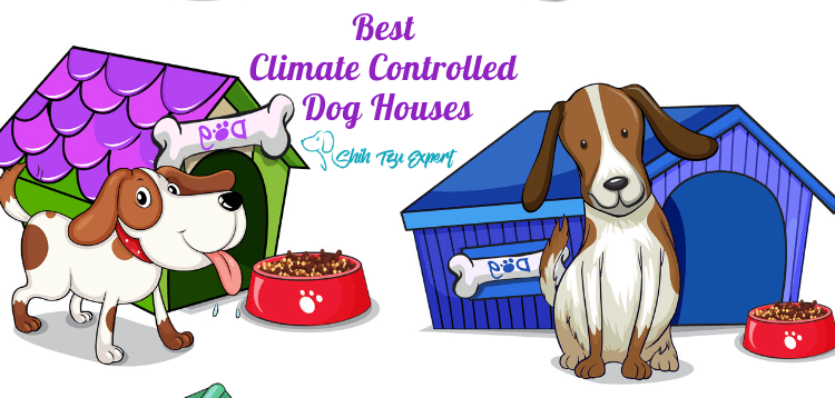 Best Climate Controlled Dog Houses (1)