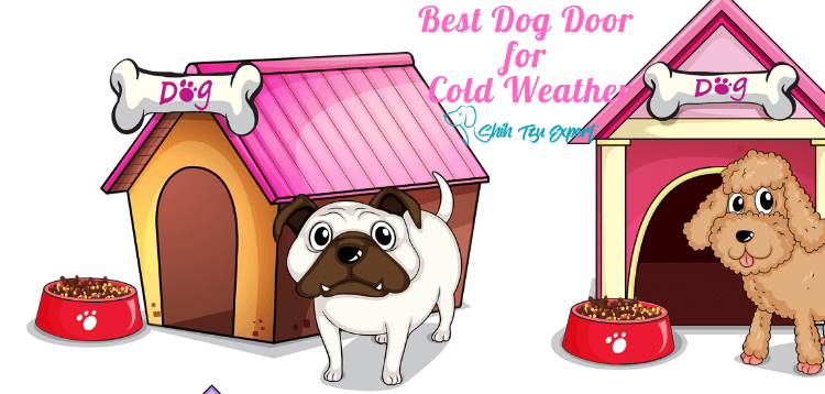 Best Dog Door for Cold Weather