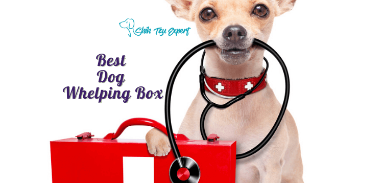 Best Dog Whelping Box (1)