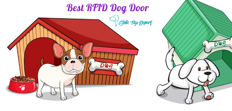 Best RFID Dog Door
