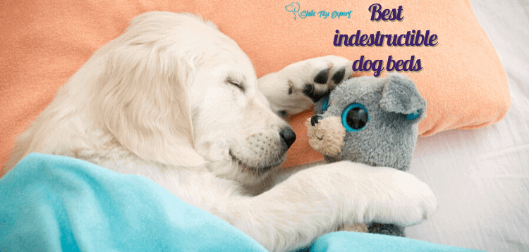 Best indestructible dog beds