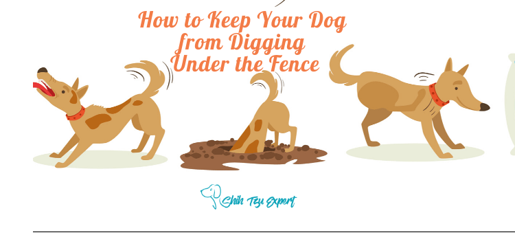 Keep Your Dog from Digging Under the Fence