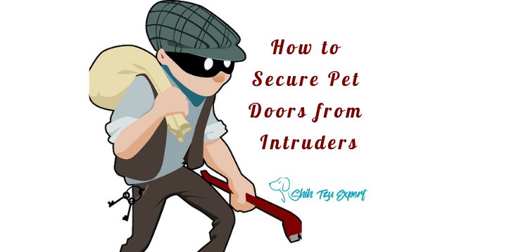 How to Secure Pet Doors from Intruders