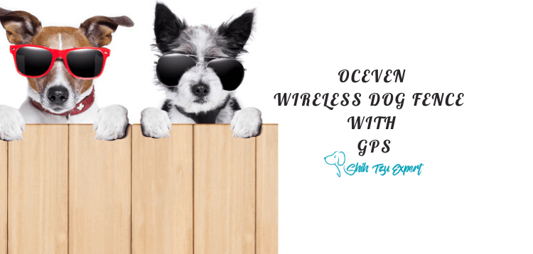 OCEVEN WIRELESS DOG FENCE SYSTEM WITH GPS (1)