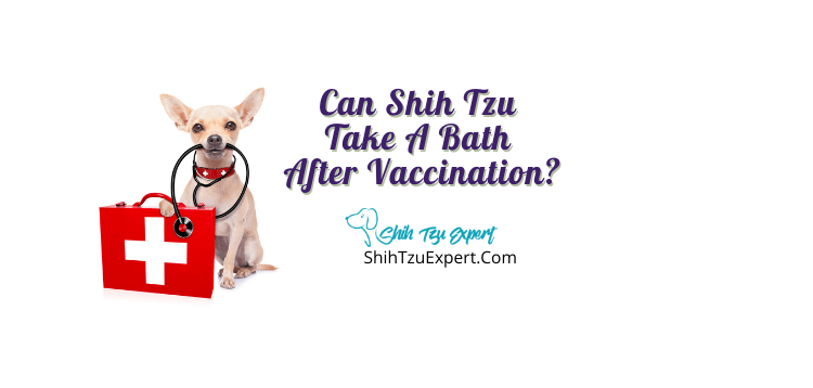 can a puppy take a bath before vaccination