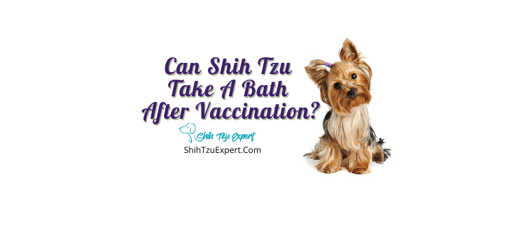 can a puppy take a bath after vaccination