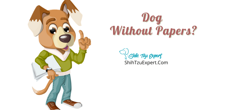 Dog Without Papers [Explained With Examples]