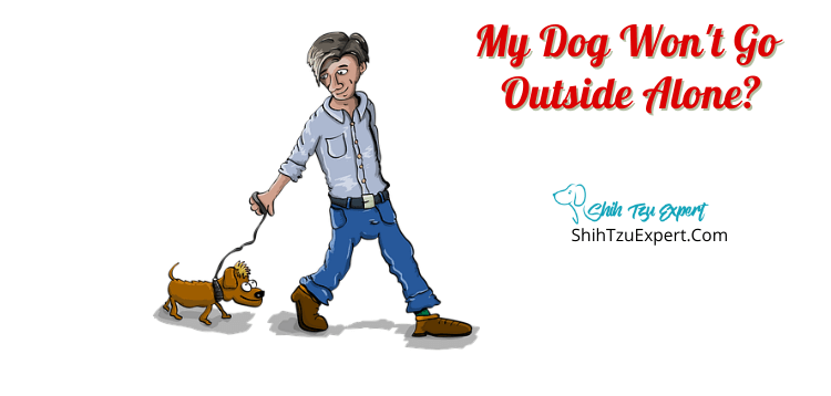 My Dog Won't Go Outside Alone - Shih Tzu Expert