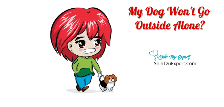 How do I train my dog to go outside alone?