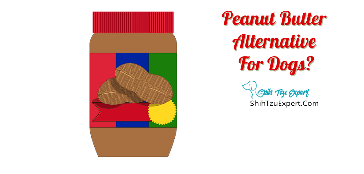 Peanut Butter Alternative For Dogs - The Shih Tzu Expert