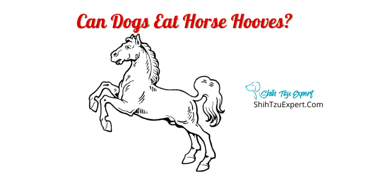 are horse hooves bad for dogs