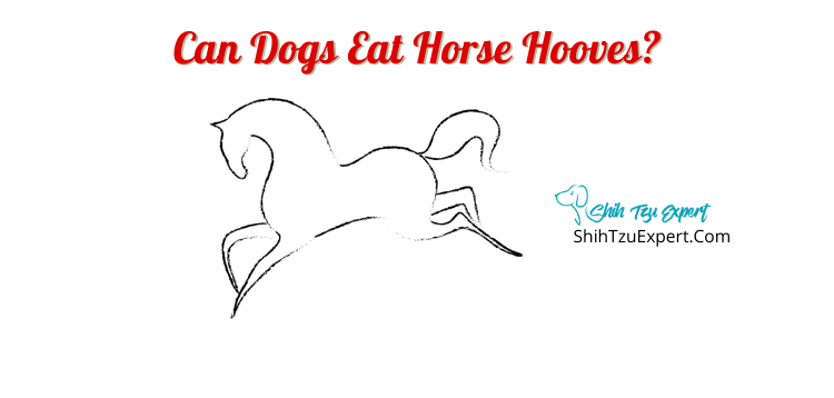 are horse hooves bad for dogs