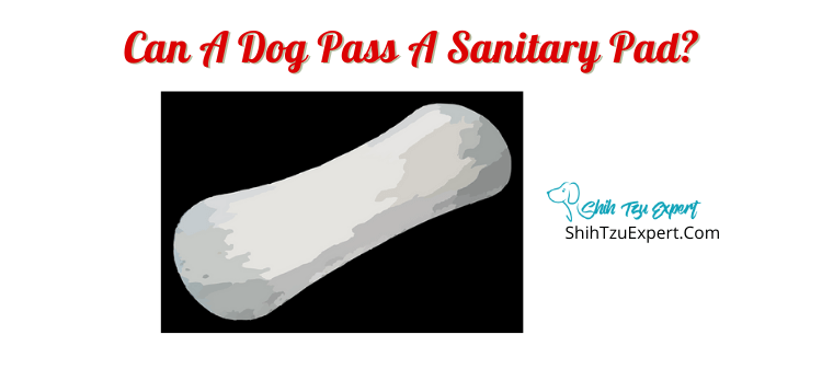 how long does it take a dog to pass a tampon