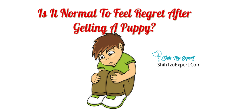 Is It Normal To Feel Regret After Getting A Puppy?