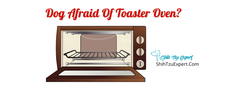 Dog Afraid Of Toaster Oven?