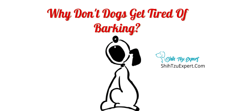 Why Don't Dogs Get Tired of Barking?