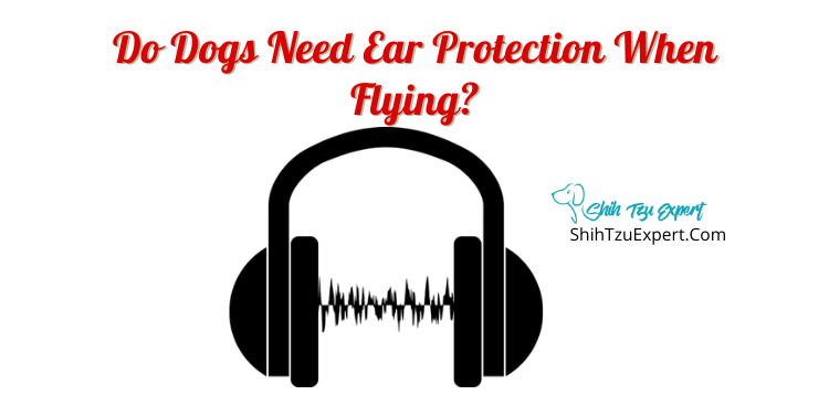 How can I protect my dogs ears when flying?