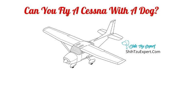 Can you fly a Cessna with a dog?