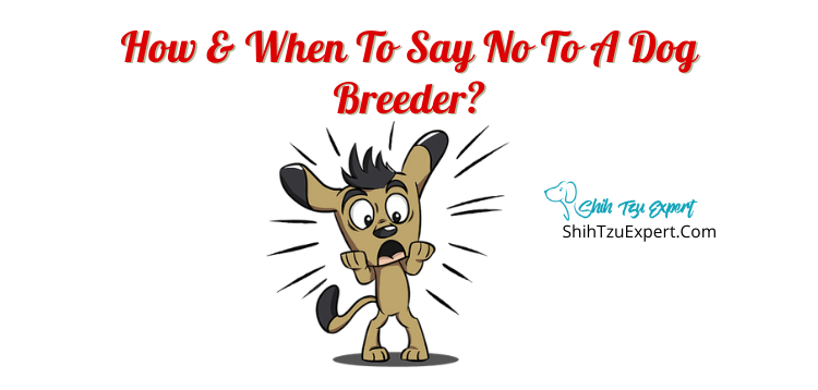 How & When To Say No To A Dog Breeder?