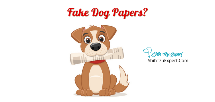 Fake Dog Papers