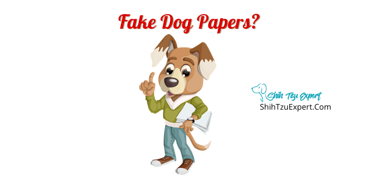 how can i get a copy of my dogs papers