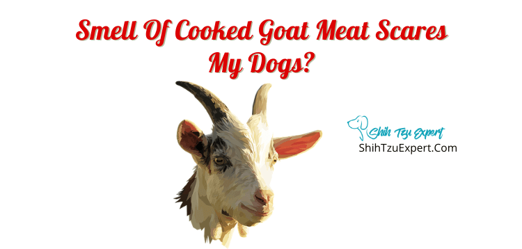 Smell Of Cooked Goat Meat Scares My Dogs?