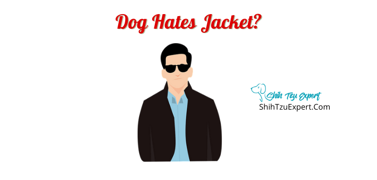 Dog Hates Jacket