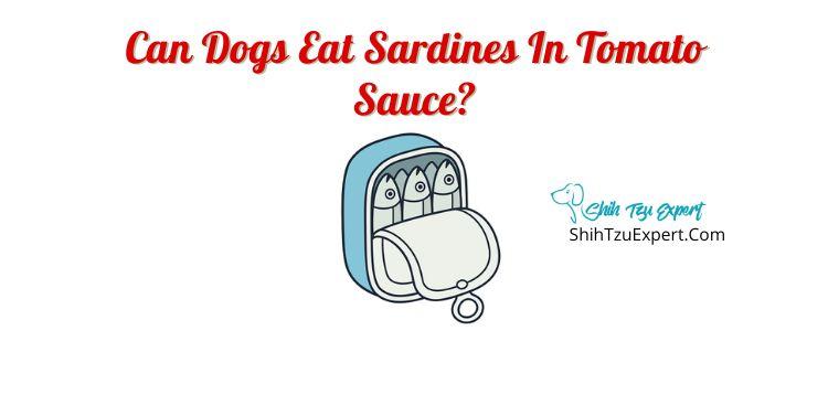 Are Sardines In Tomato Sauce Good For Dogs