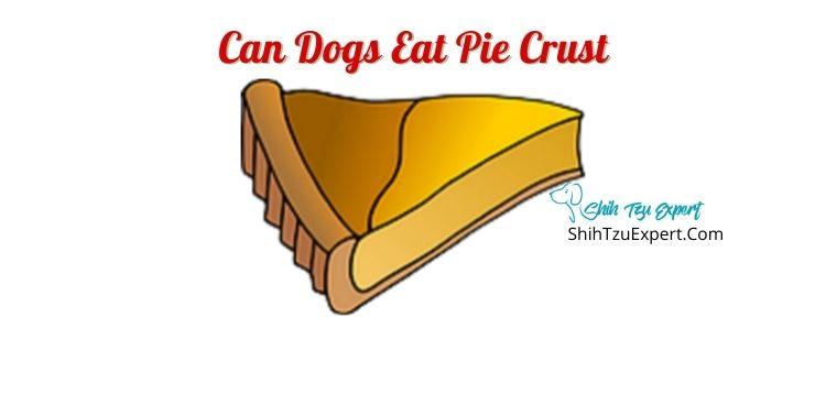 Can Dogs Eat Pie Crust?