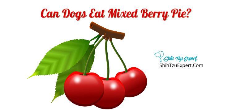 Can Dogs Eat Mixed Berry Pie?