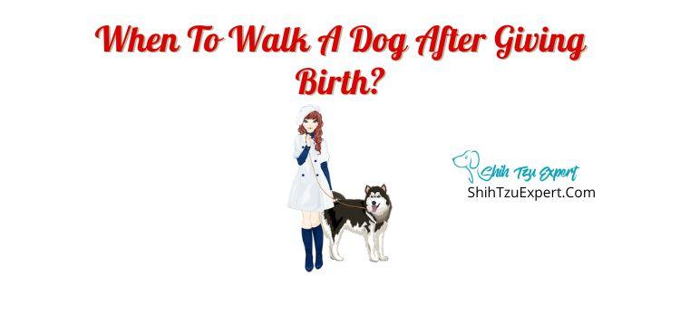 When To Walk A Dog After Giving Birth?