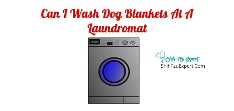 Can I Wash Dog Blankets At A Laundromat?