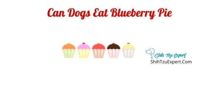 Can Dogs Eat Blueberry Pie?