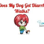 Why Does My Dog Get Diarrhea On Walks? Why Does My Dog Get Diarrhea On Walks (1)
